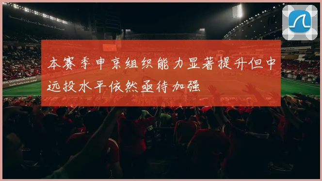 本赛季申京组织能力显著提升但中远投水平依然亟待加强