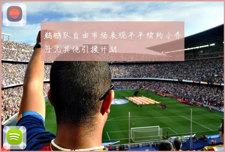 鹈鹕队自由市场表现平平续约小乔丹无其他引援计划